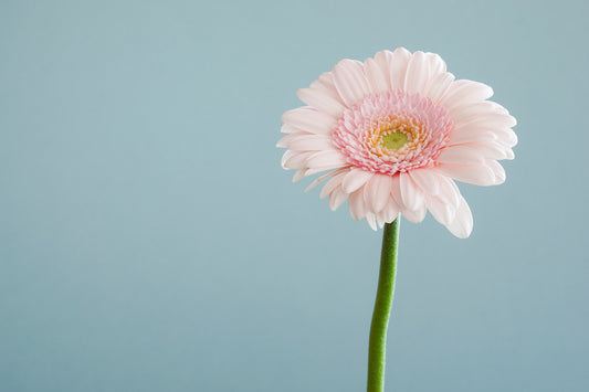 Yesterday is a history. Tomorrow is a mystery. Today is a gift. That's why it's called the present.